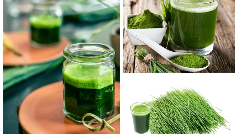 Buğda suyunun İNANILMAZ FAYDALARI: Hər gün bir stəkan içsəniz...