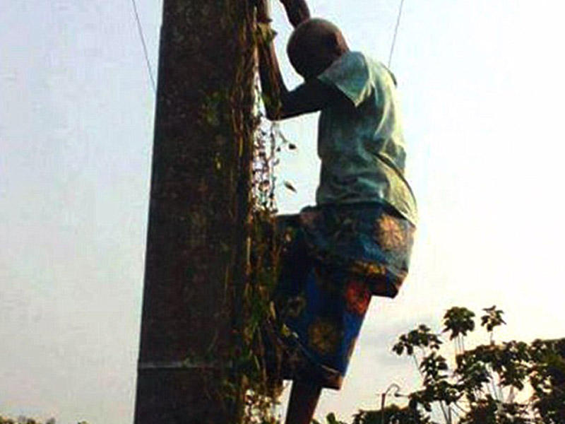 80 yaşlı qarı qorxudan dirəyə çıxdı: 