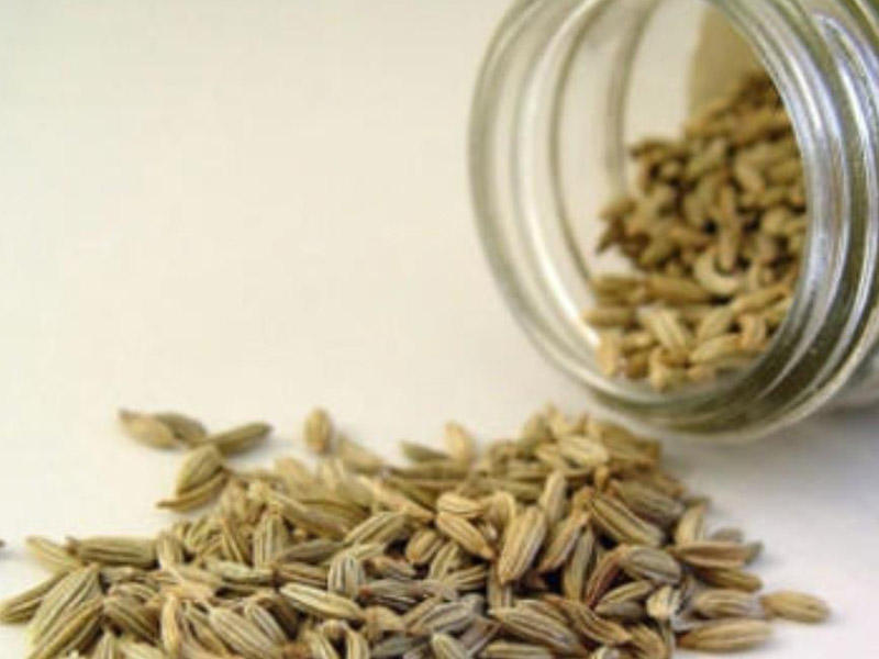 Sümükləri bərkidən və arıqlamağa yardım edən bitki