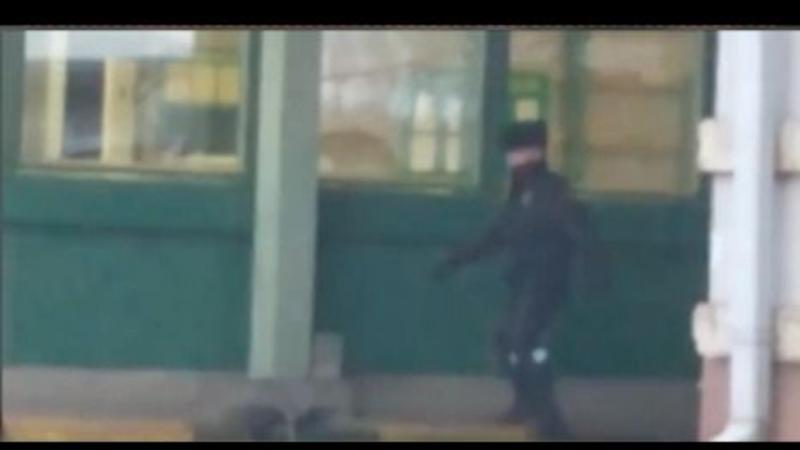 Sərhəddə QƏRİBƏ OLAY: Qarğa gömrükdə pasport oğurladı - VİDEO