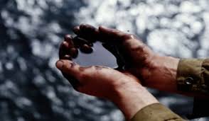 “Qara qızıl”ın qiyməti kəskin ucuzlaşıb