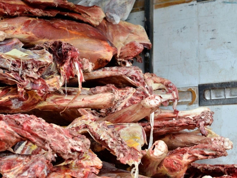 Bakıda mənşəyi məlum olmayan 2 tondan çox ət aşkar edilib