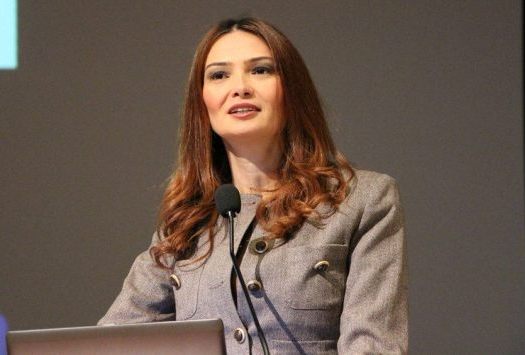 Bu hadisəyə hamımız sərt münasibət bildirməliyik!