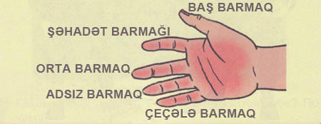 5 dəqiqədə stressdən XİLAS EDƏN ÜSUL - FOTOLAR