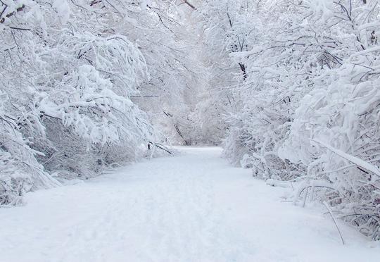 Ölkədə faktiki hava necədir? - Qar 21 sm-ə çatdı