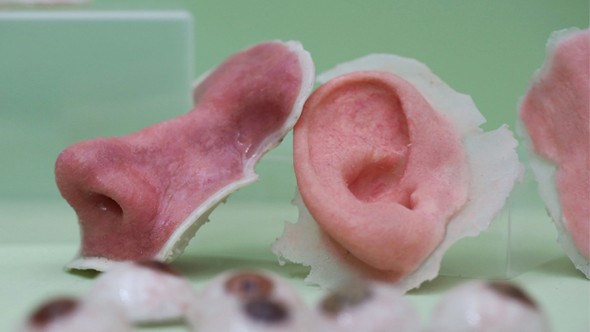 İnsanın ömrünü uzatmaq üçün yeni üsul: İNQİLABİ YENİLİK