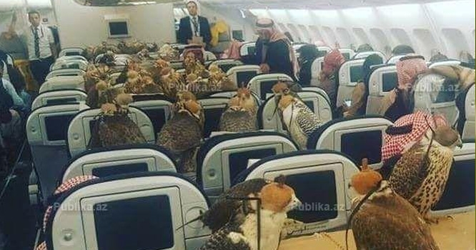 Şok görüntülər: Azərbaycanda ov edən ərəb şeyxləri elə bir şey etdi ki... - FOTO+VİDEO