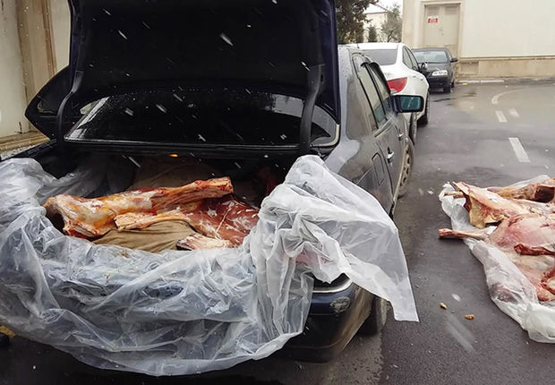 Mənşəyi məlum olmayan heyvan cəmdəkləri aşkar edilib – FOTO