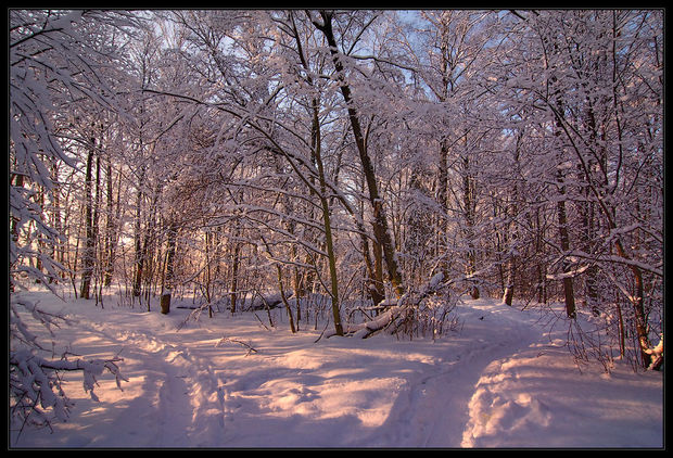Sabaha yağıntısız hava proqnozlaşdırılır
