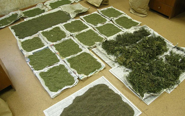 Evindən 10 kiloqramdan çox narkotik tapıldı