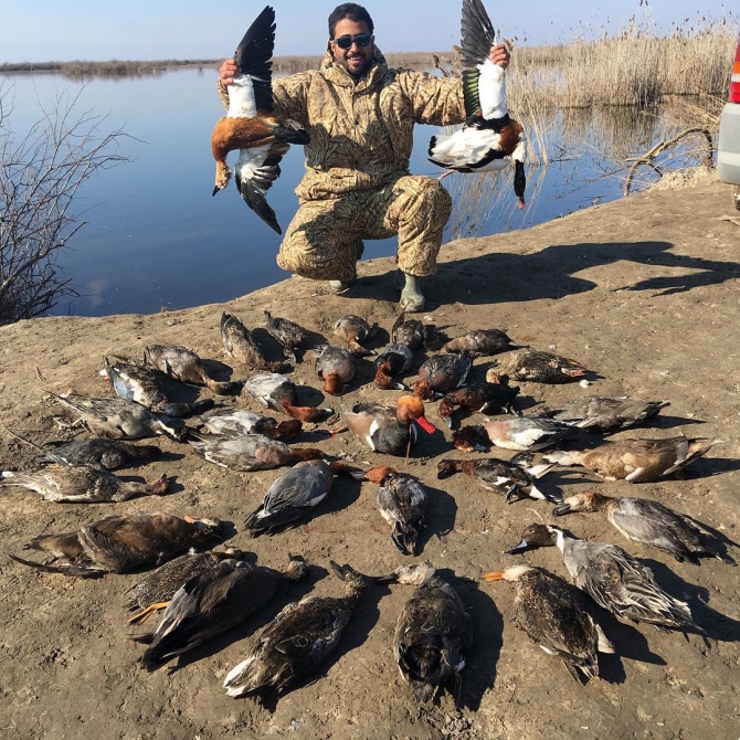 Ərəblərin Azərbaycanda ov görüntüləri – (FOTO, VİDEO)