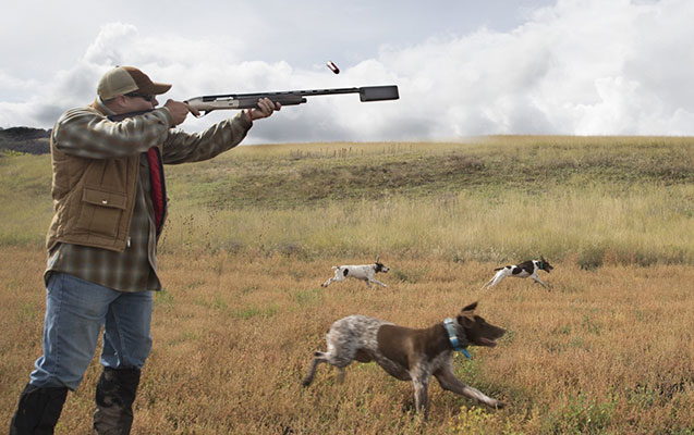 Azərbaycanda ov edən 16 əcnəbi saxlanılıb