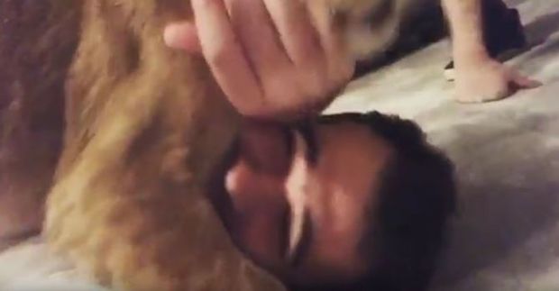 Emin Ağalarov şirin balası ilə belə oynadı – VİDEO
