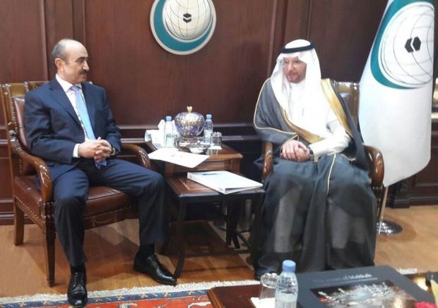 Əli Həsənov İƏT-in baş katibi ilə danışıqlarda – FOTO