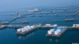 SOCAR: “Neft Daşları