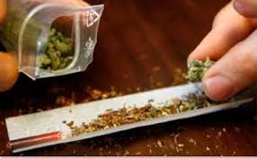 Qəbələdə narkotik vasitələr satanlar tutuldu