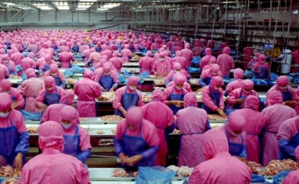 Bu VİDEOya baxandan sonra diliniz tutulacaq