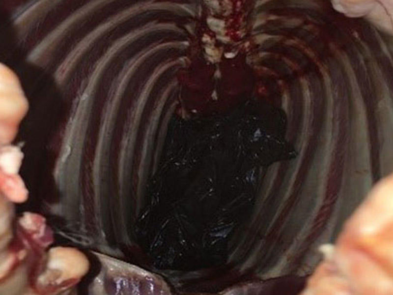 Qoyun ətinin içindən elə şey çıxdı ki - FOTO