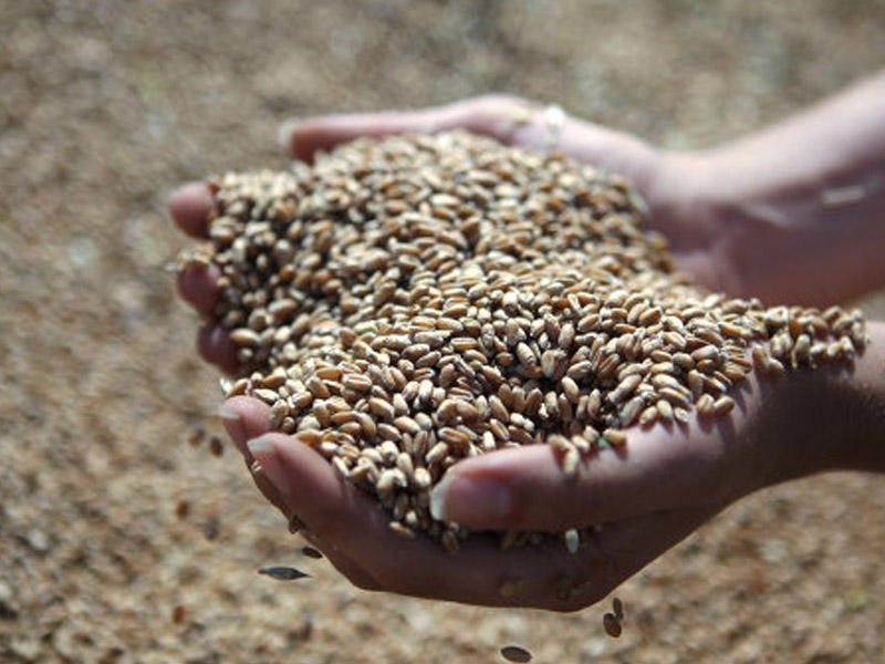 Çeçenlərə yardım edən azərbaycanlı avtoritet - GİZLİ TARİX