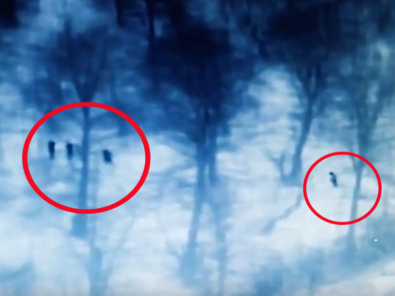 Ermənilərə cəbhəboyu belə cavab verilir - VİDEO