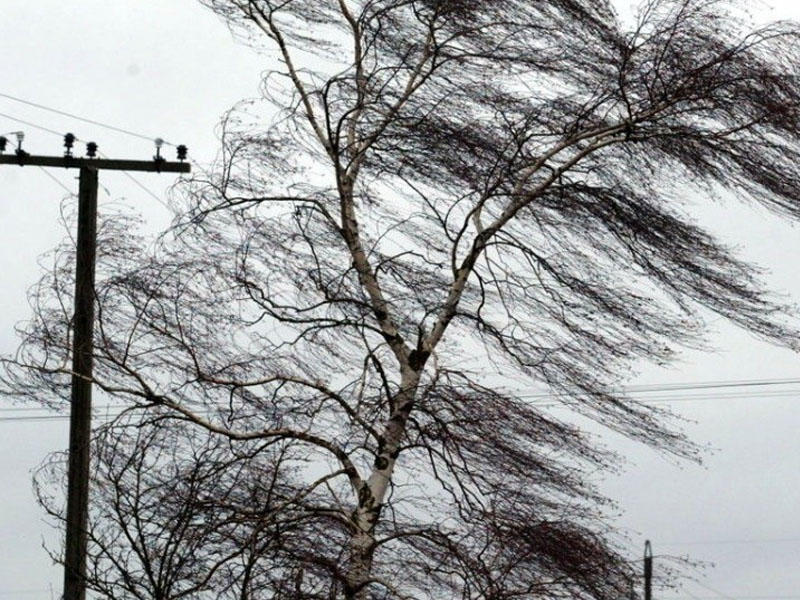 Güclü külək əsəcək - XƏBƏRDARLIQ