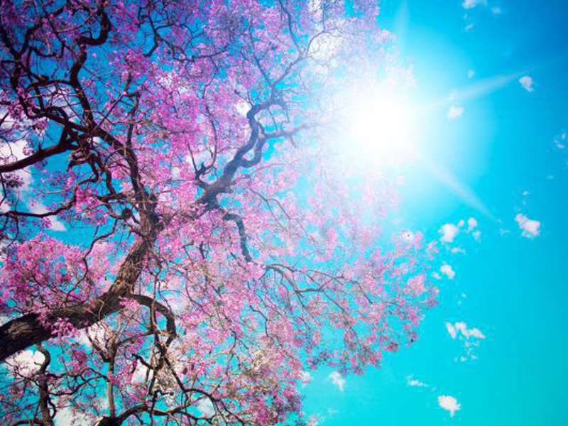 Mart ayının HAVAsı