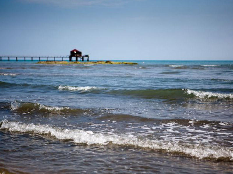 Xəzərdə tapılan meyit müayinə olundu