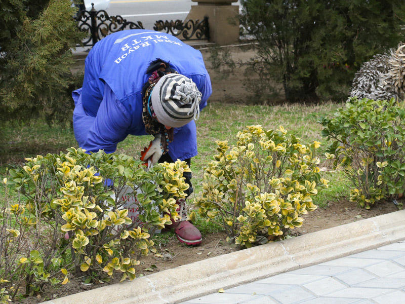 Süpürgəçi işlədiyini ailəsindən gizlədən qadın: 