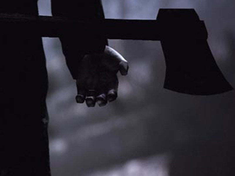 Bərdədə qardaş bacısını baltaladı