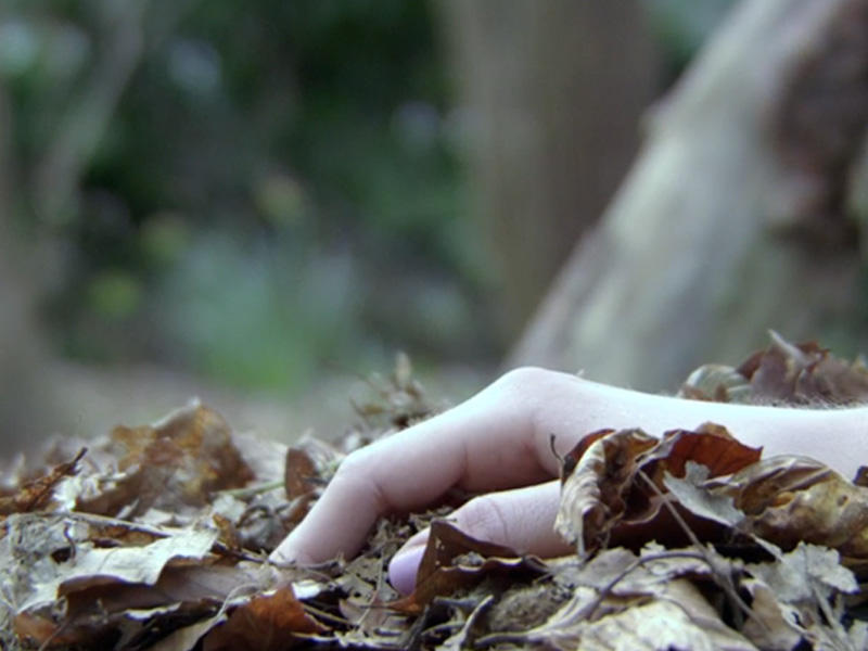 8 Martda Gülnarı çayda 