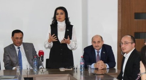 Millət vəkilləri məişət zorakılığından danışdılar - Fotolar