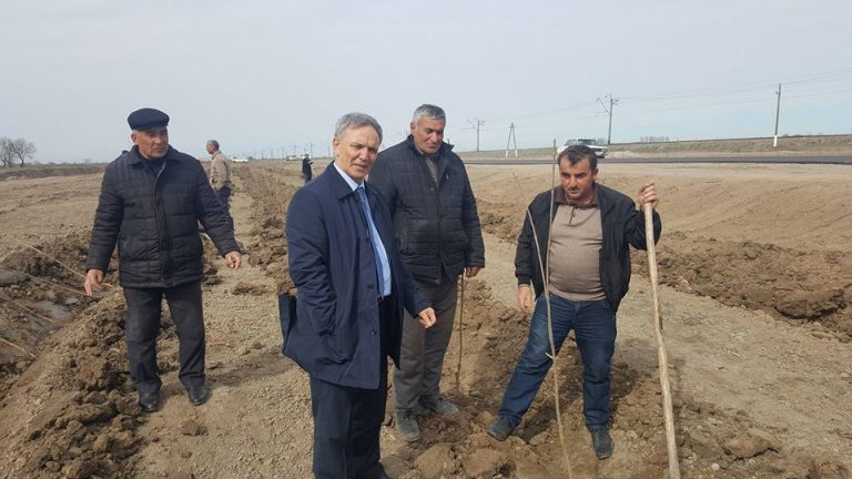 Əflatun Amaşov Saatlıda sakinlərlə silsilə görüşlər keçirib – FOTOLAR