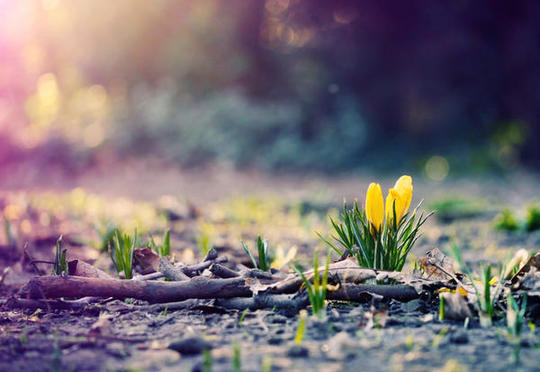 Sabah hava necə olacaq? - Proqnoz