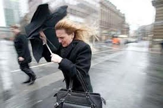 Belə güclü külək 8-10 ildə bir dəfə olur - AMEA