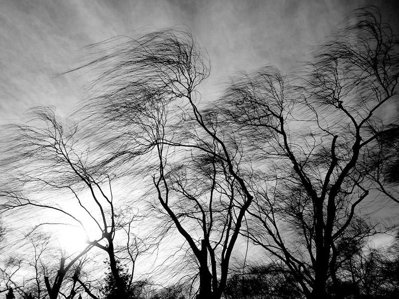 Azərbaycanda ən güclü külək nə zaman olub?