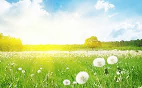 Aprel ayının HAVA PROQNOZU - 30 dərəcə isti