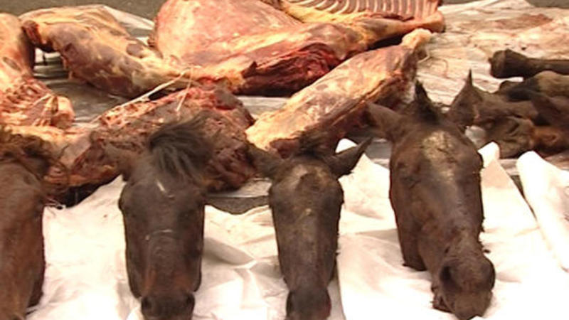 Kürdəmirdə at əti aşkarlandı - 150 kiloqram