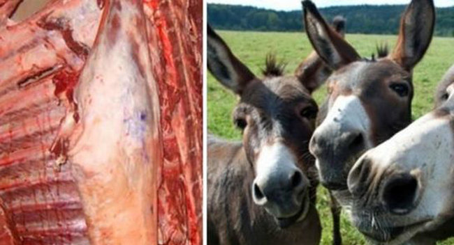 Ölmüş at, it, eşşək ətlərindən kolbasa düzəldənlər tutuldu