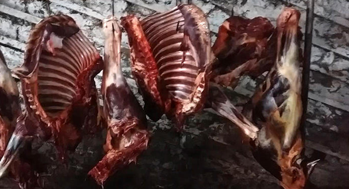 Azərbaycanda at- eşşək əti hara və necə basdırılır? - “Ət sahibi yerı qazır, əti daşıyır, üzərinə...” 