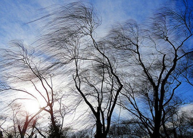Sabah Bakıda güclü külək əsəcək – XƏBƏRDARLIQ