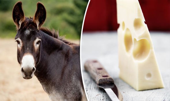 Azərbaycanda eşşək pendiri satılır – ŞOK QİYMƏT 