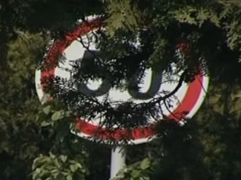 Gözəgörünməz yol nişanları - 