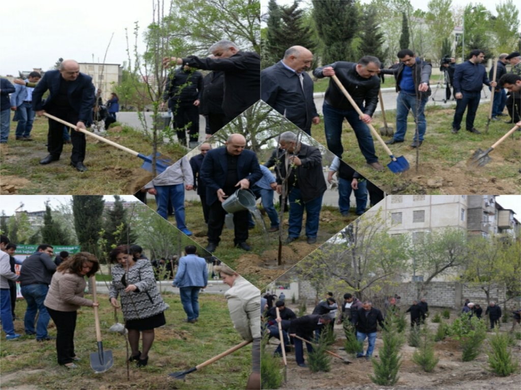NƏSİMİ RAYONUNDA “MƏKTƏB BAĞLARI”LAYİHƏSİ ÇƏRÇİVƏSİNDƏ NÖVBƏTİ İMƏCLİK KEÇİRİLDİ