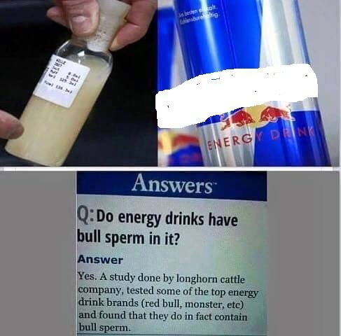 Enerji verən içkilərin öküz sidiyi və spermasından hazırlandığı sübut edildi - VİDEO