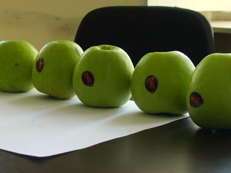 Quba almalarının İrəvana 