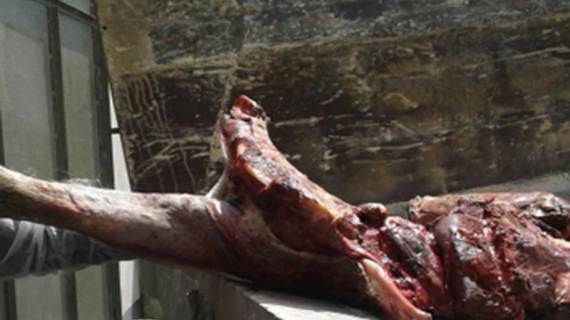 Qəbələdə at əti aşkarlandı - FOTO