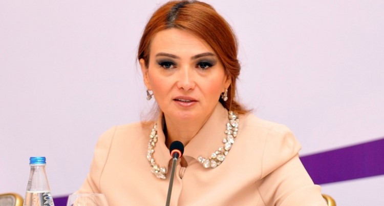 Qənirə Paşayeva Milli Məclisdə Avropa Şurasının Türkiyə ilə bağlı qərarına etiraz edib