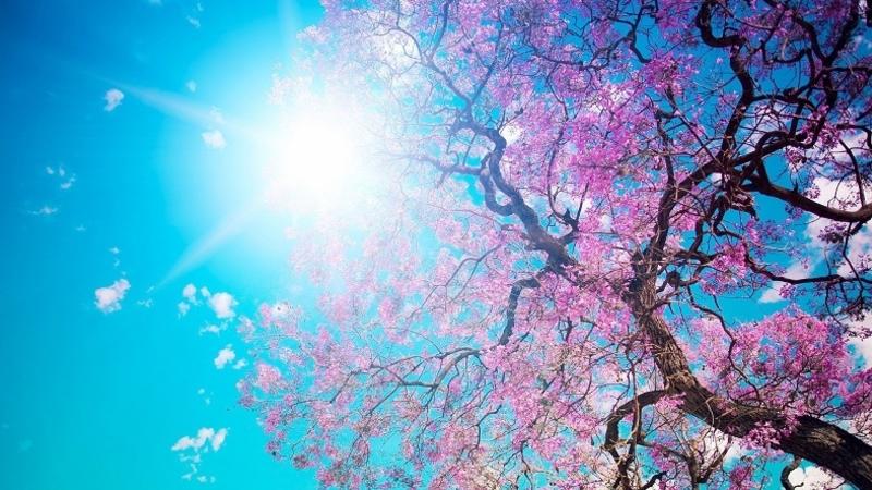 Bakıda 25, rayonlarda 27 dərəcə isti olacaq