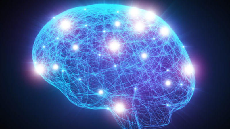 Ölümə qərar verən ORQAN TAPILDI: beynimiz yaşlıdırsa, deməli... – SENSASİYALI ARAŞDIRMA