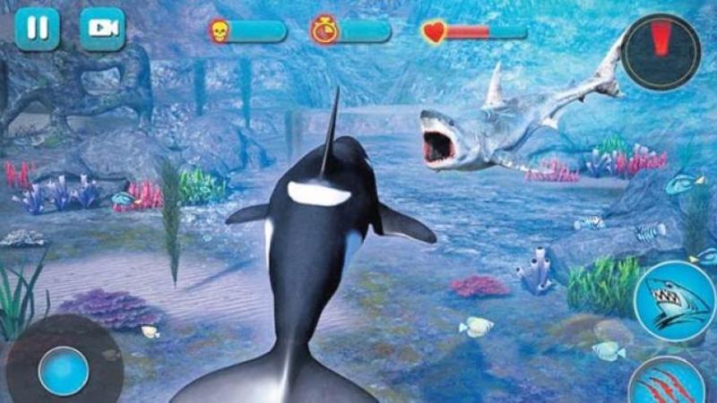 İnternetdə sonu ÖLÜMƏ SƏBƏB OLAN OYUN: 150 gənc bu yolla həyatını itirdi